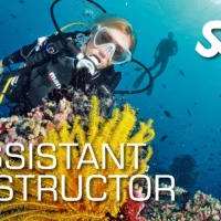 SSI Assistant Instructor (ITC deel 1)
