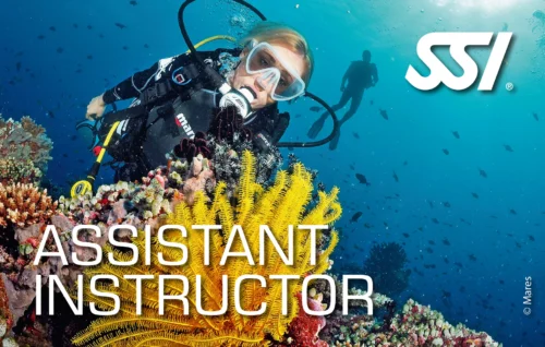 SSI Assistant Instructor (ITC deel 1)