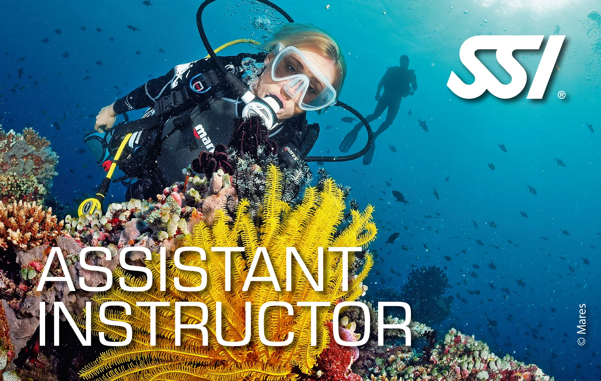 SSI Assistant Instructor (ITC deel 1) - Afbeelding 1