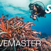 SSI Divemaster