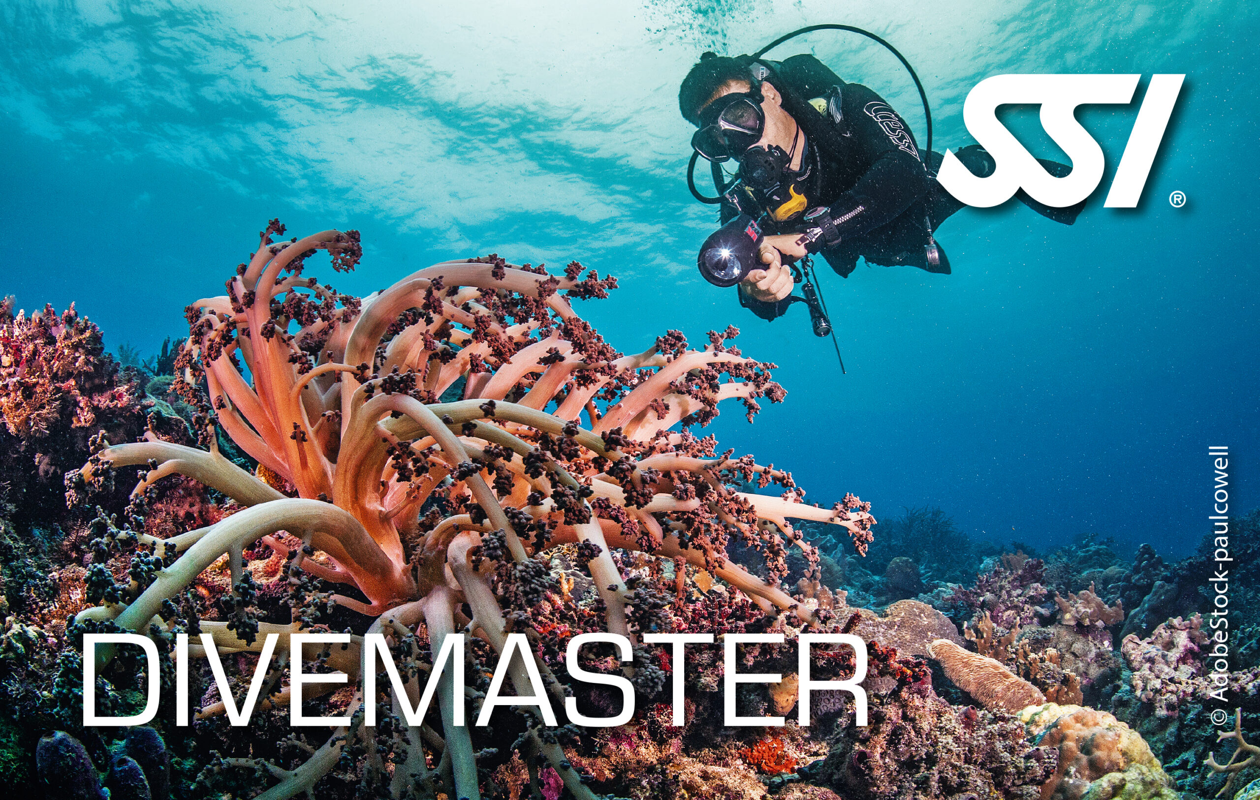 SSI Divemaster - Afbeelding 1