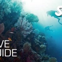 SSI Dive Guide