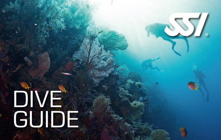 SSI Dive Guide - Afbeelding 1