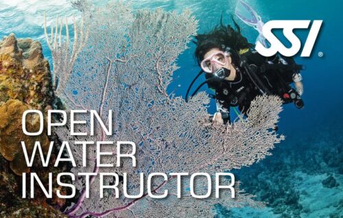 SSI Open Water Instructor (ITC deel 2)